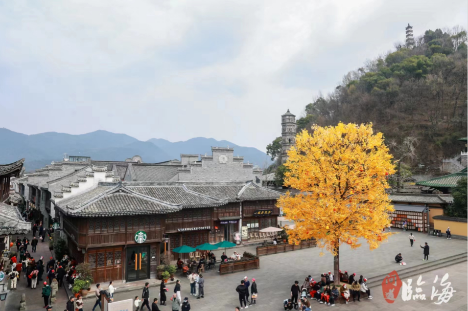 电池百人会企业家“问道”临海 赏盎然春景 游千年古城.jpg