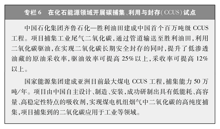 《中国的能源转型》白皮书