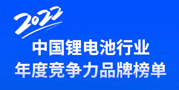 2022年中国锂电池行业电解液年度竞争力品